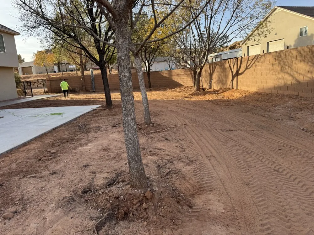 Reliable yard maintenance experts serving St. George, UT - Semper Fi Tree Expert
