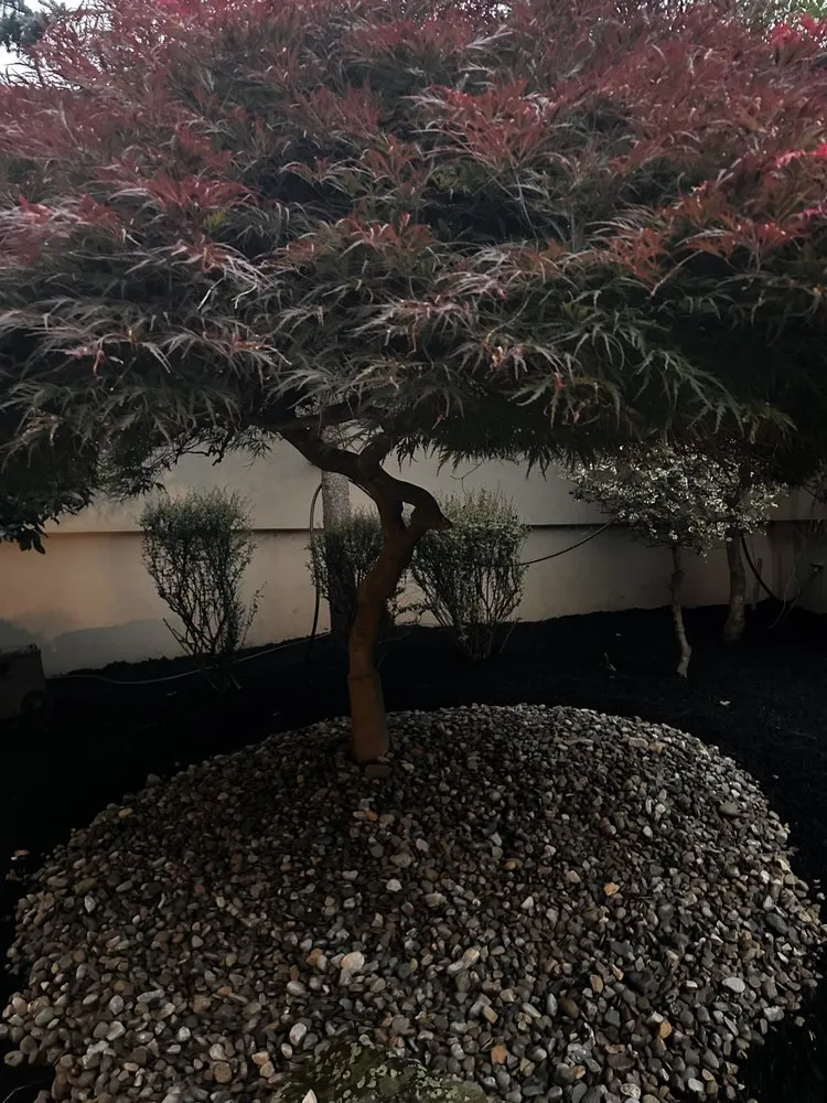 Trusted residential landscaping experts serving Freehold, NJ - Semper Green Lawnscape