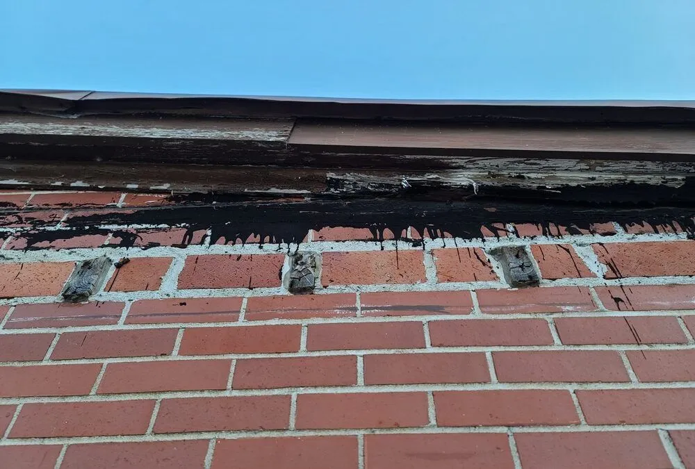 Professional outdoor landscaping experts serving Freehold, NJ - Semper Green Lawnscape