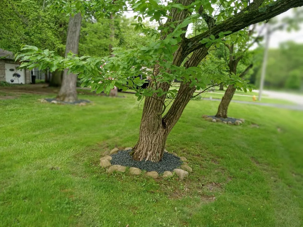 Professional lawn mowing service with custom design across Canfield, OH - Semper Perfectus Lawn Care