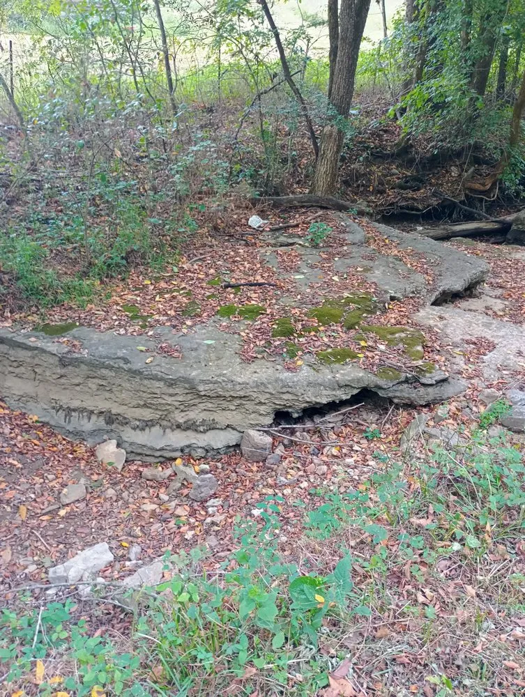 Local lawn care service experts serving Cornersville, TN - Semperf1 Lawncare