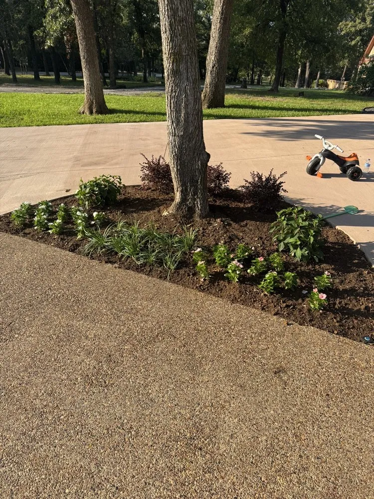 Affordable lawn mowing service in Double Oak, TX by Semper Fi Landscape Solutions