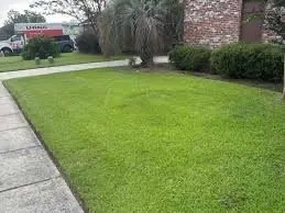 Top-rated outdoor landscaping experts serving Double Oak, TX - Semper Fi Landscape Solutions