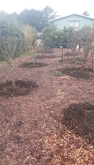 Reliable landscape design for residential properties across Arcata, CA - Sempervirens Gardening