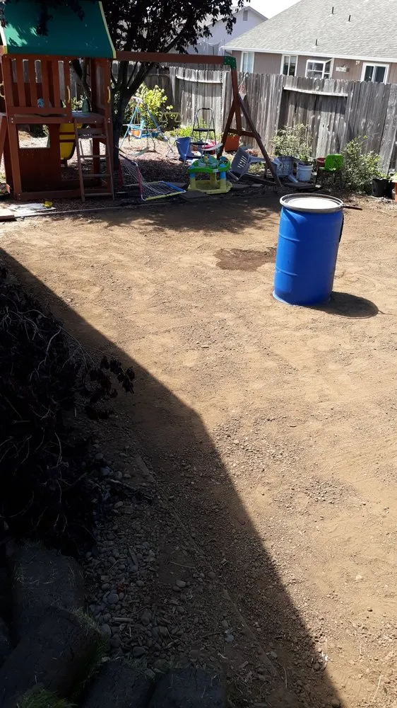 Professional landscaping services experts serving Arcata, CA - Sempervirens Gardening