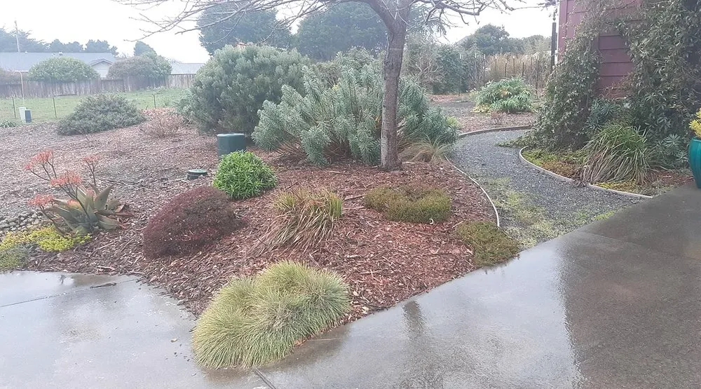 Expert residential landscaping for homes in Arcata, CA by Sempervirens Gardening