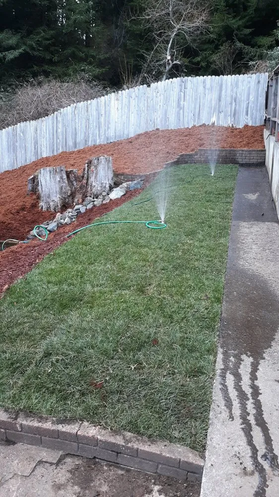 Local landscape design in Arcata, CA by Sempervirens Gardening