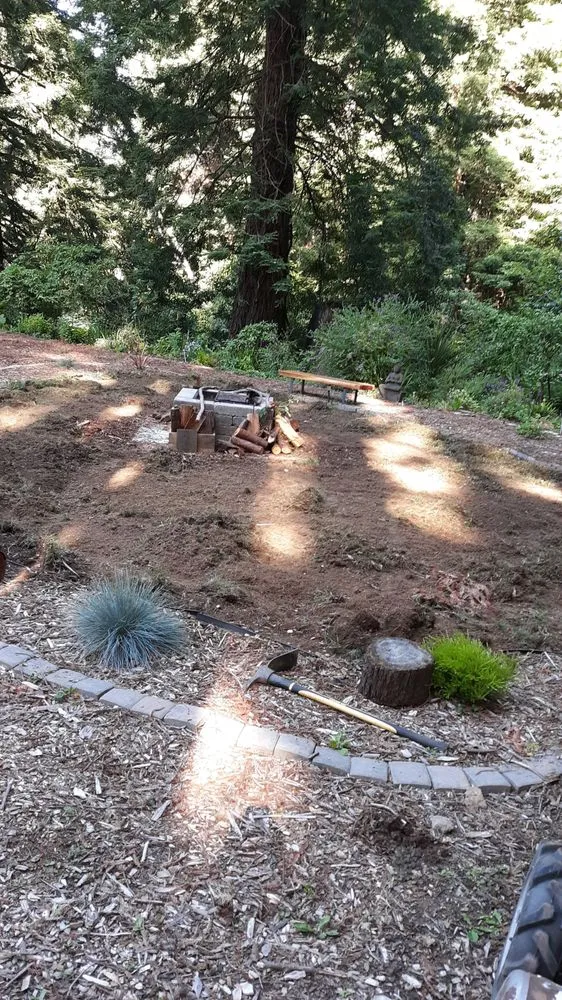 Expert garden landscaping in Arcata, CA - Sempervirens Gardening