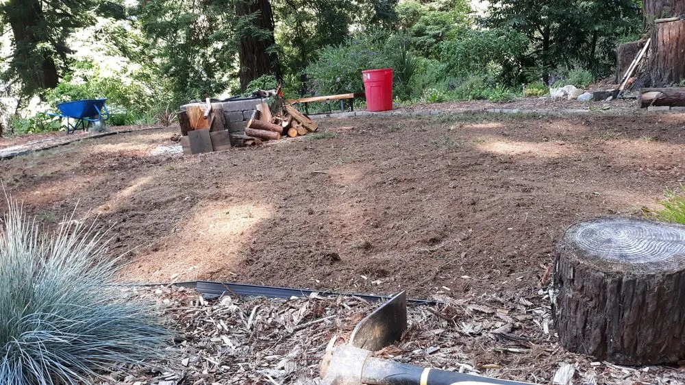 Local yard maintenance in Arcata, CA by Sempervirens Gardening