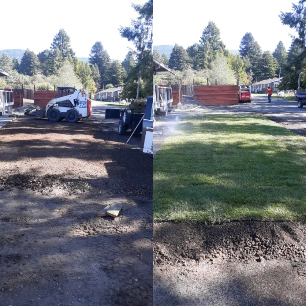 Affordable yard maintenance with custom design in Arcata, CA by Sempervirens Gardening