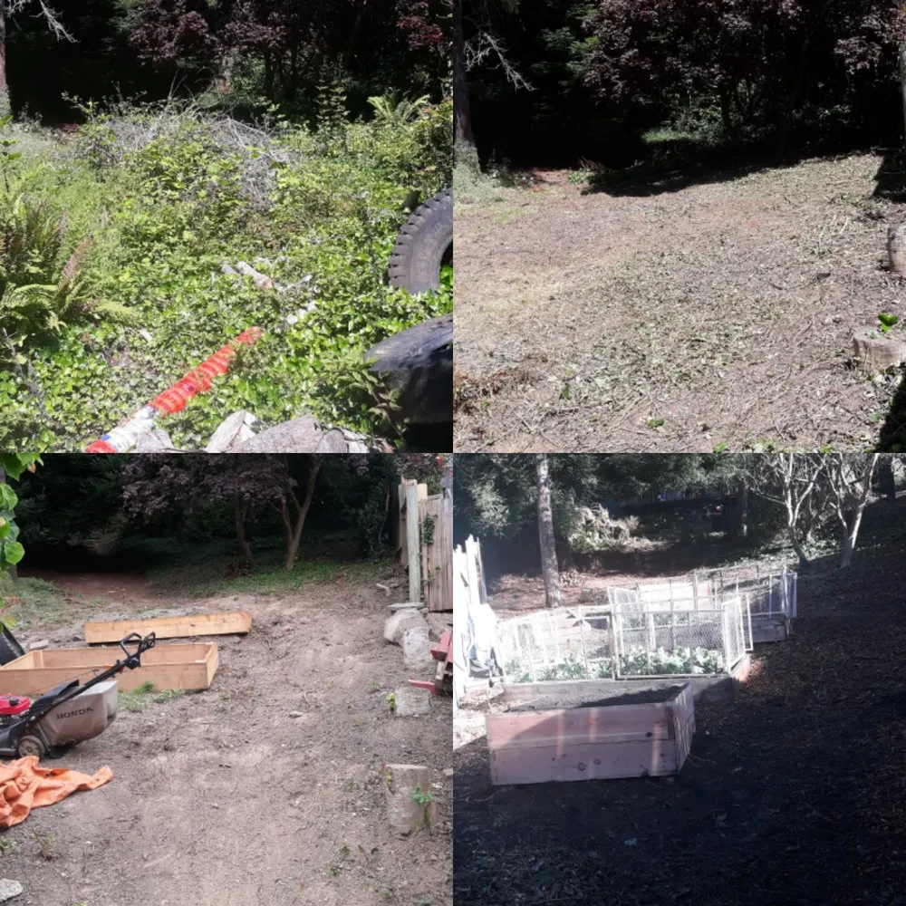 Reliable landscaping services for outdoor upgrades in Arcata, CA by Sempervirens Gardening