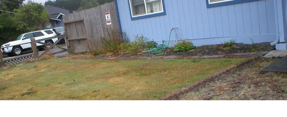 Trusted residential landscaping in Arcata, CA by Sempervirens Gardening