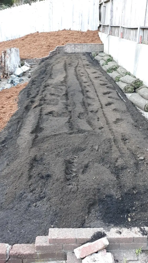 Reliable yard maintenance for residential properties in Arcata, CA by Sempervirens Gardening