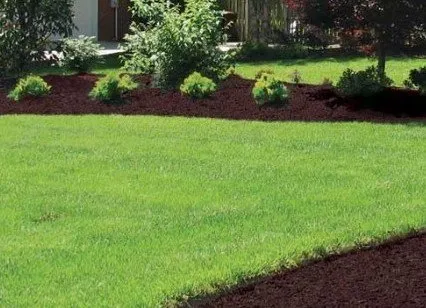 Trusted yard maintenance for residential properties in Toms River, NJ by Sen Property Preservation