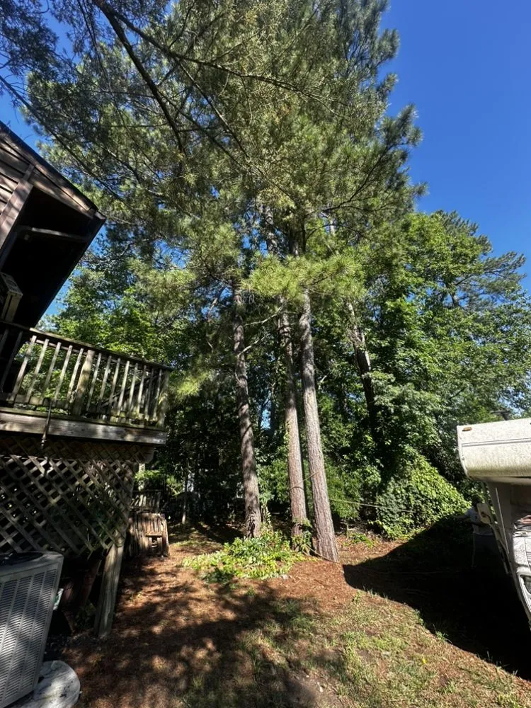 Top-rated lawn mowing service in Tuckahoe, VA - Sena’s Landscaping