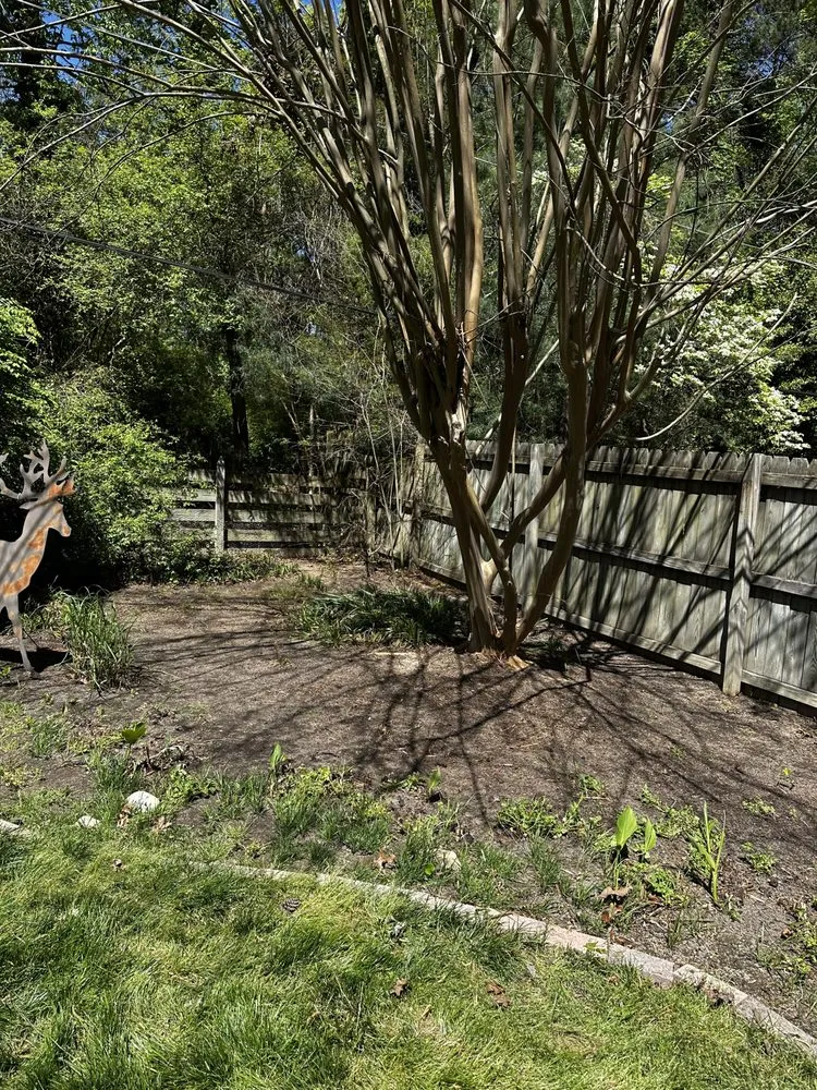 Trusted yard cleanup service in Tuckahoe, VA - Sena’s Landscaping