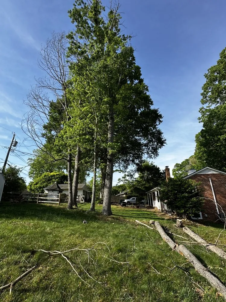 Expert residential landscaping in Tuckahoe, VA - Sena’s Landscaping