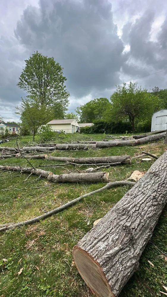 Top-rated residential landscaping experts serving Tuckahoe, VA - Sena’s Landscaping