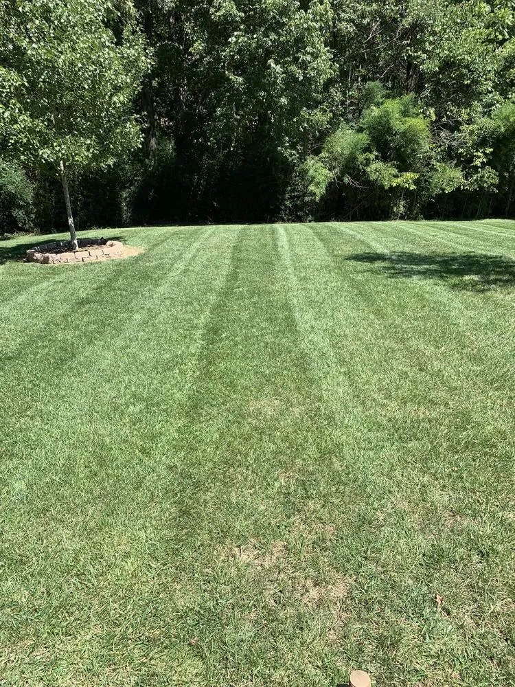 Reliable lawn mowing service for beautiful yards across Charlotte, NC - Sencara Lawn Care