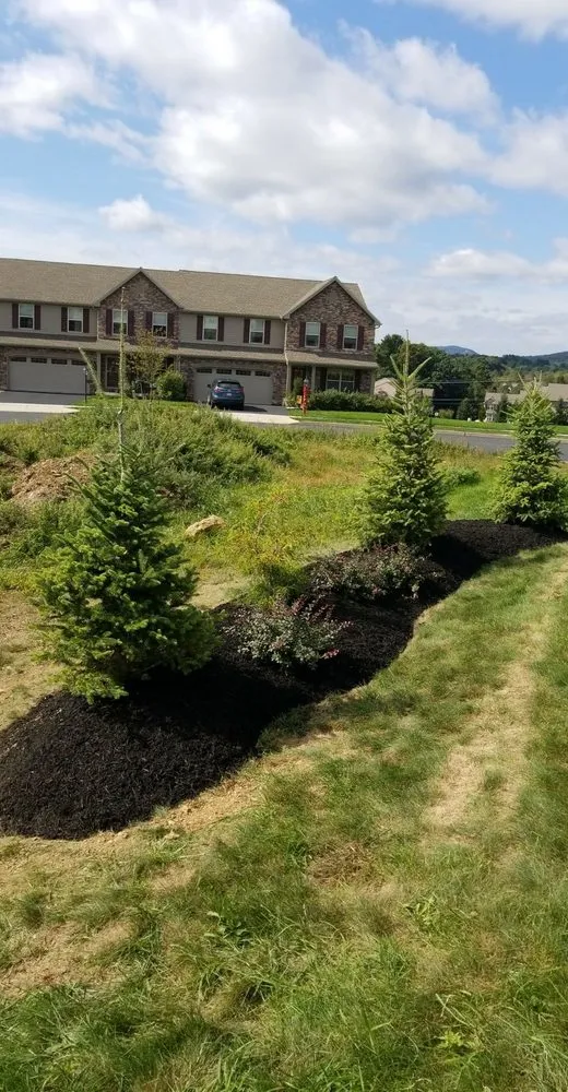Affordable yard maintenance near you in Mechanicsburg, PA by Send It Landscaping