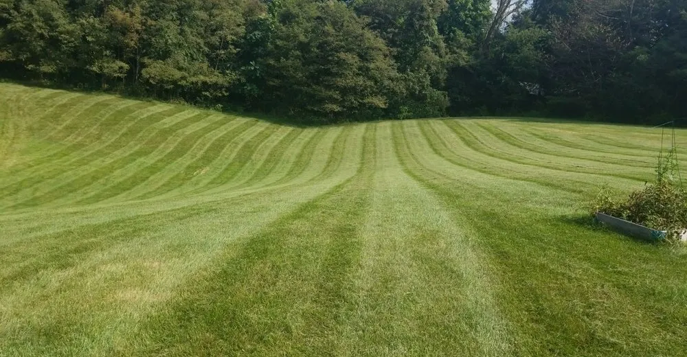 Professional lawn mowing service for beautiful yards in Mechanicsburg, PA by Send It Landscaping
