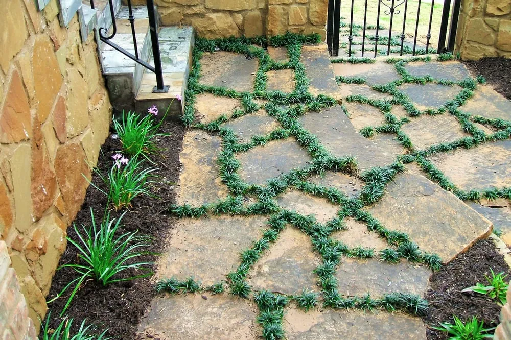 Professional garden landscaping in Round Rock, TX - Sendero Land Services