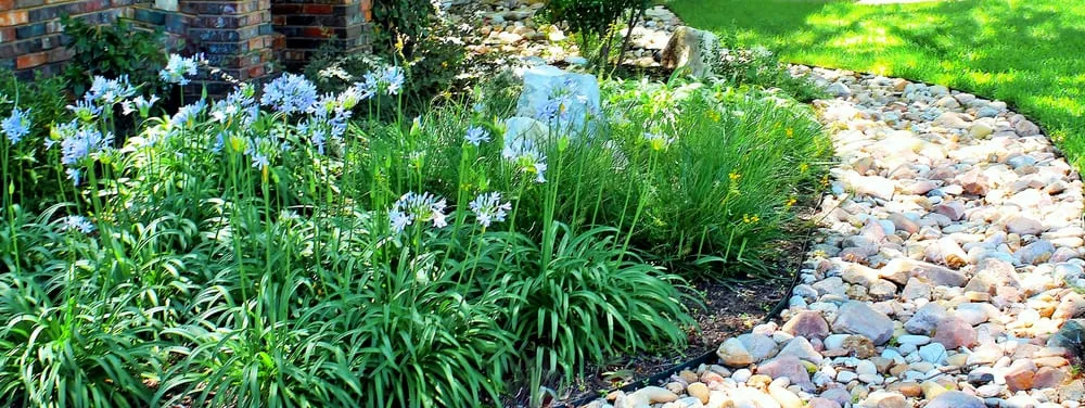 Top-rated yard cleanup service for outdoor upgrades across Round Rock, TX - Sendero Land Services