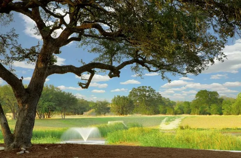 Expert yard cleanup service in Round Rock, TX - Sendero Land Services