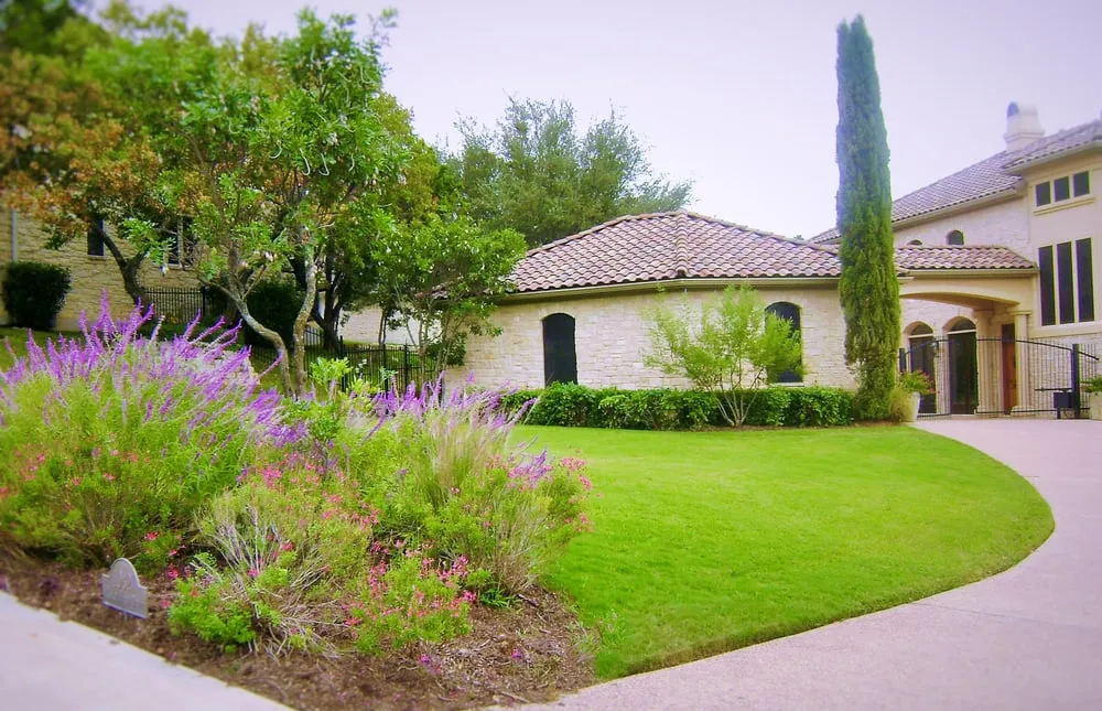 Expert yard cleanup service in Round Rock, TX by Sendero Land Services