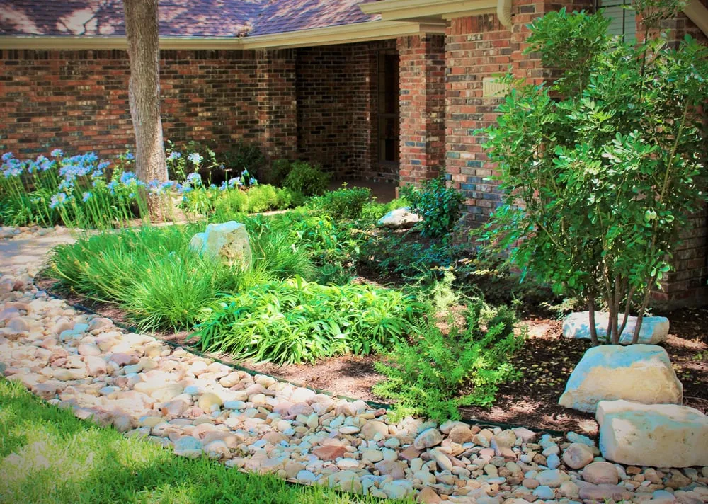 Affordable outdoor landscaping near you in Round Rock, TX by Sendero Land Services