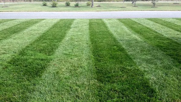 Senic Valley Landscaping Logo