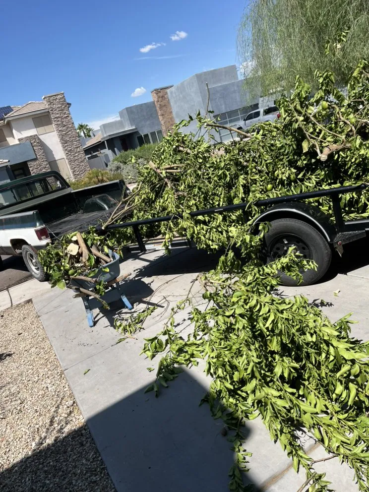 Reliable residential landscaping with custom design across Queen Creek, AZ - Senior Scaping