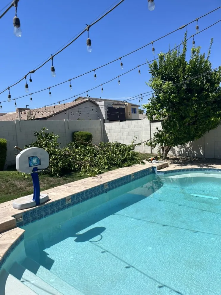 Custom landscaping services for residential properties in Queen Creek, AZ by Senior Scaping