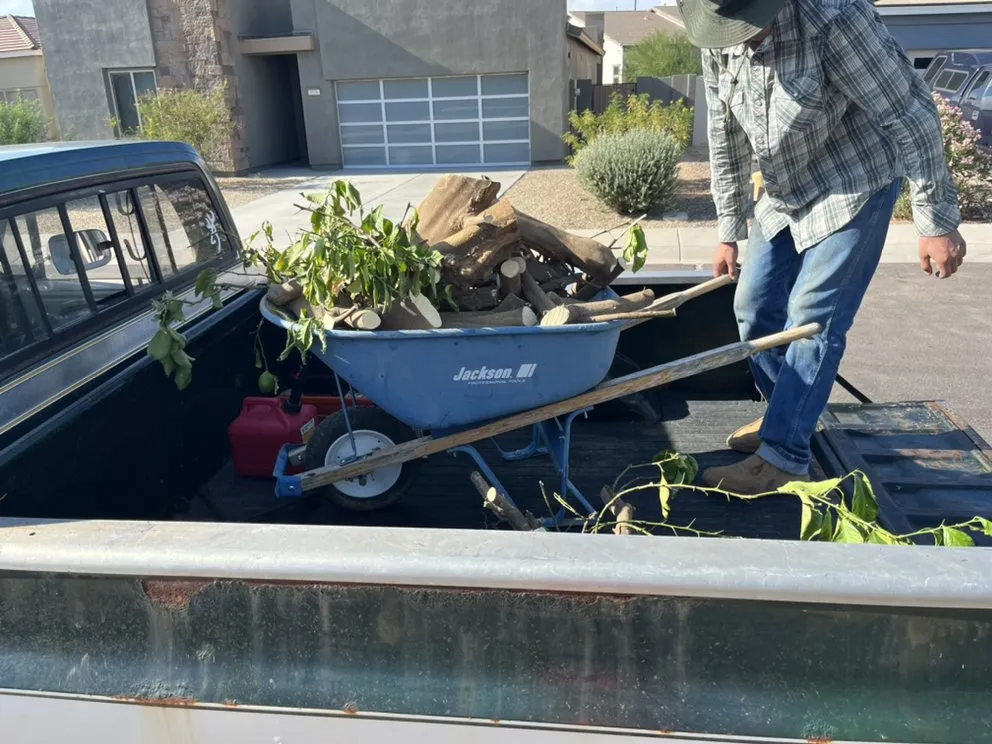 Expert lawn care service experts serving Queen Creek, AZ - Senior Scaping