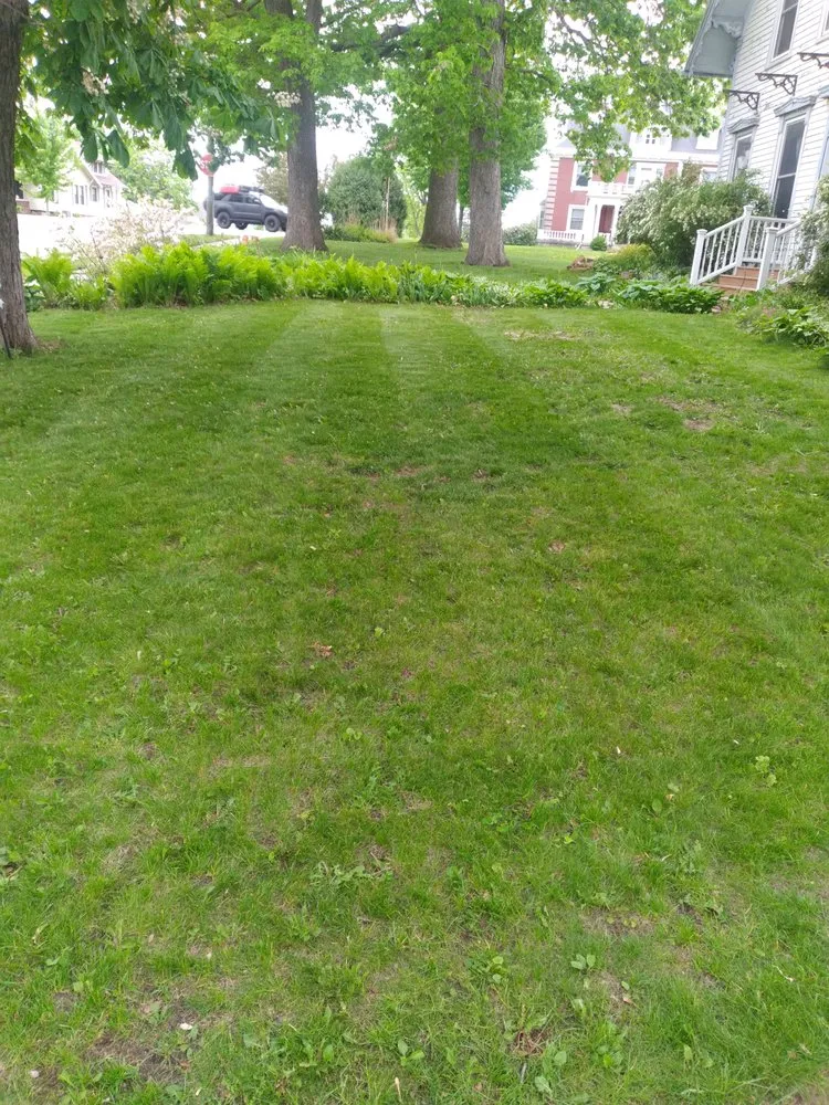 Custom yard maintenance in Mineral Point, WI by Sennhenn Lawn Care