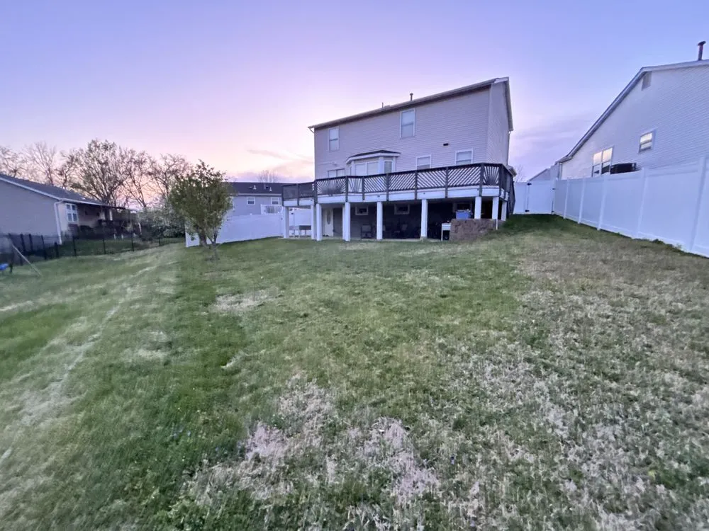 Professional yard maintenance in St. Louis, MO - Seno Landscape