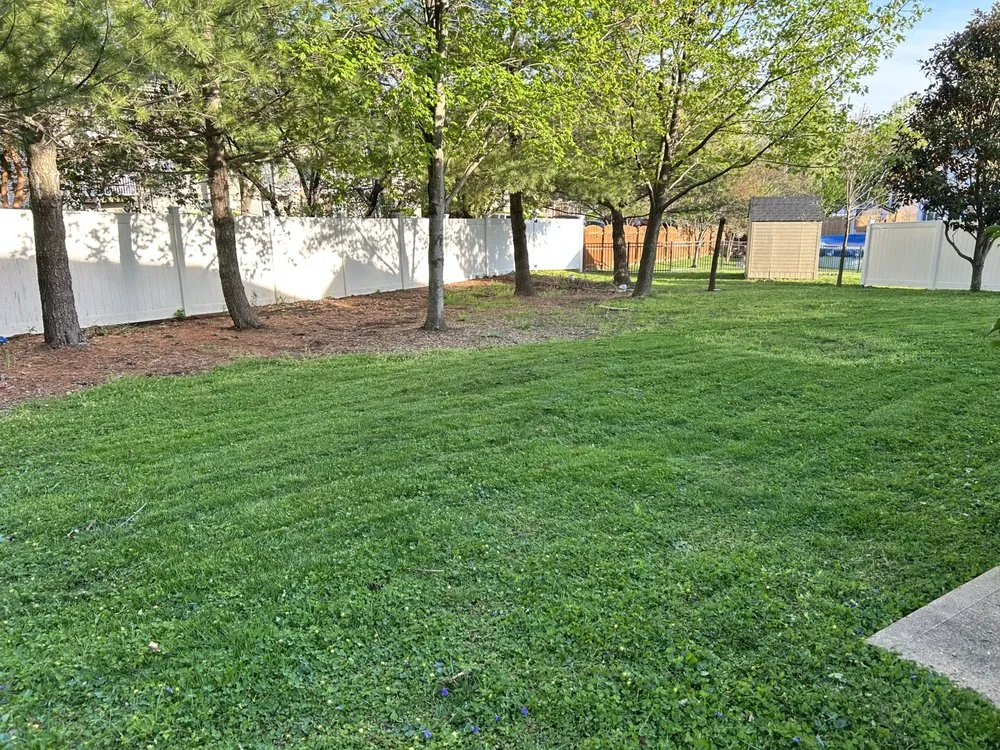 Reliable outdoor landscaping for homes across St. Louis, MO - Seno Landscape