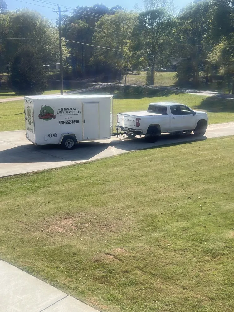 Reliable yard cleanup service in Senoia, GA by Senoia Lawn Service