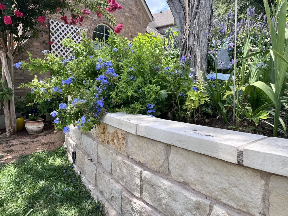 Professional landscape installation in Austin, TX - Senon's Masonry