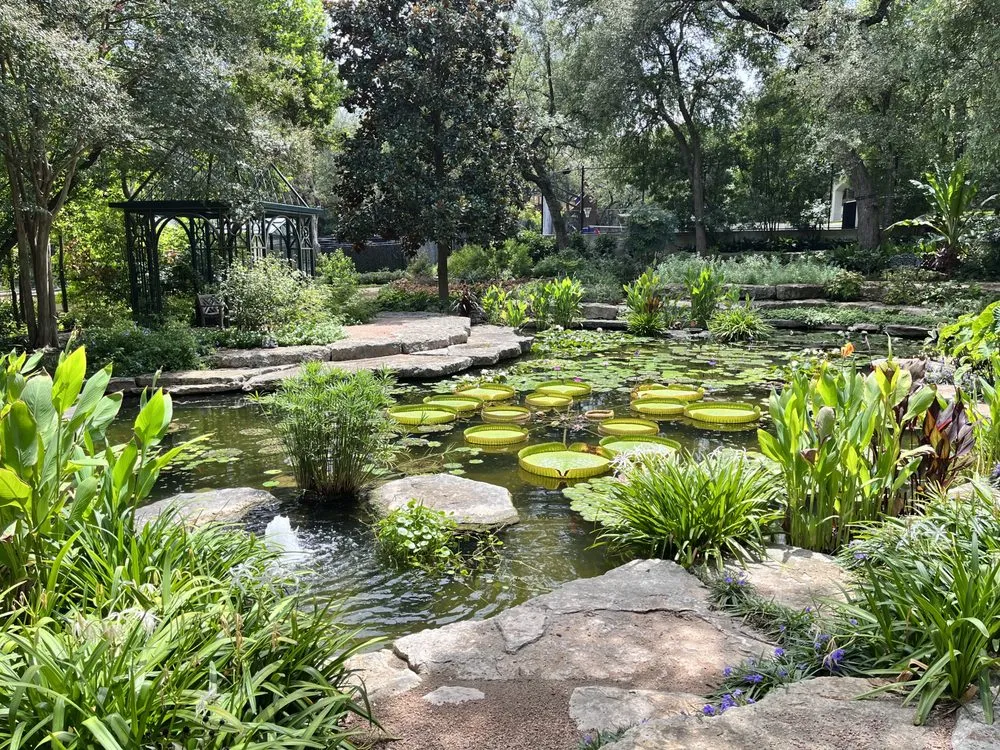 Local landscaping services experts serving Austin, TX - Senon's Masonry