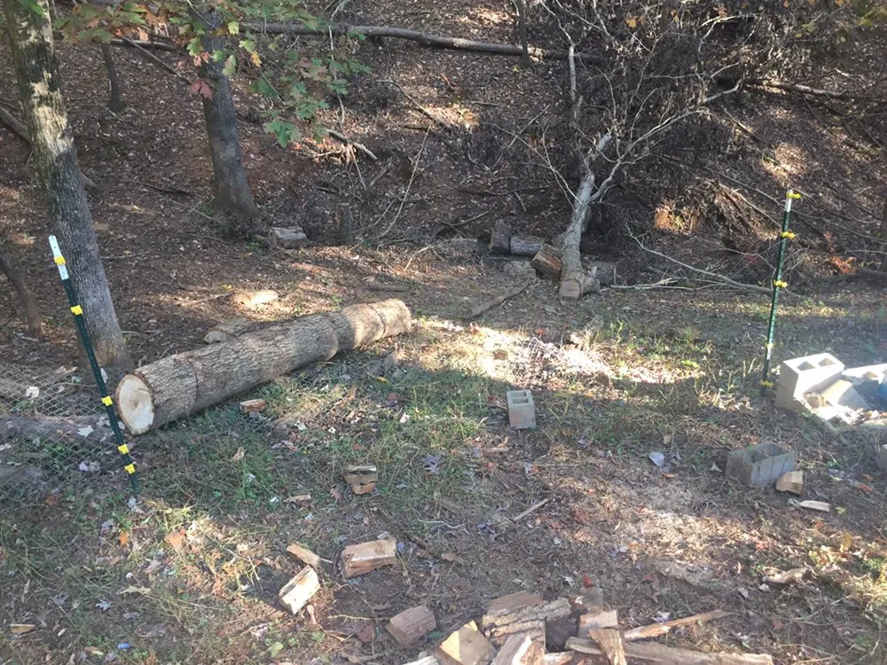 Top-rated yard maintenance experts serving Cedartown, GA - Senor Clean