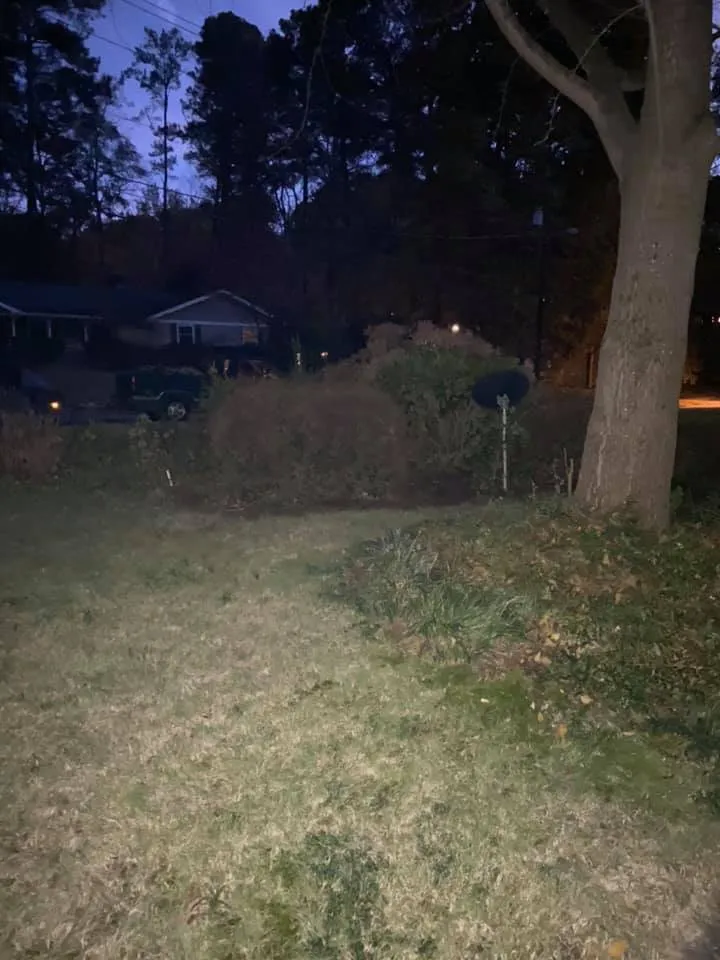 Affordable yard cleanup service in Cedartown, GA - Senor Clean