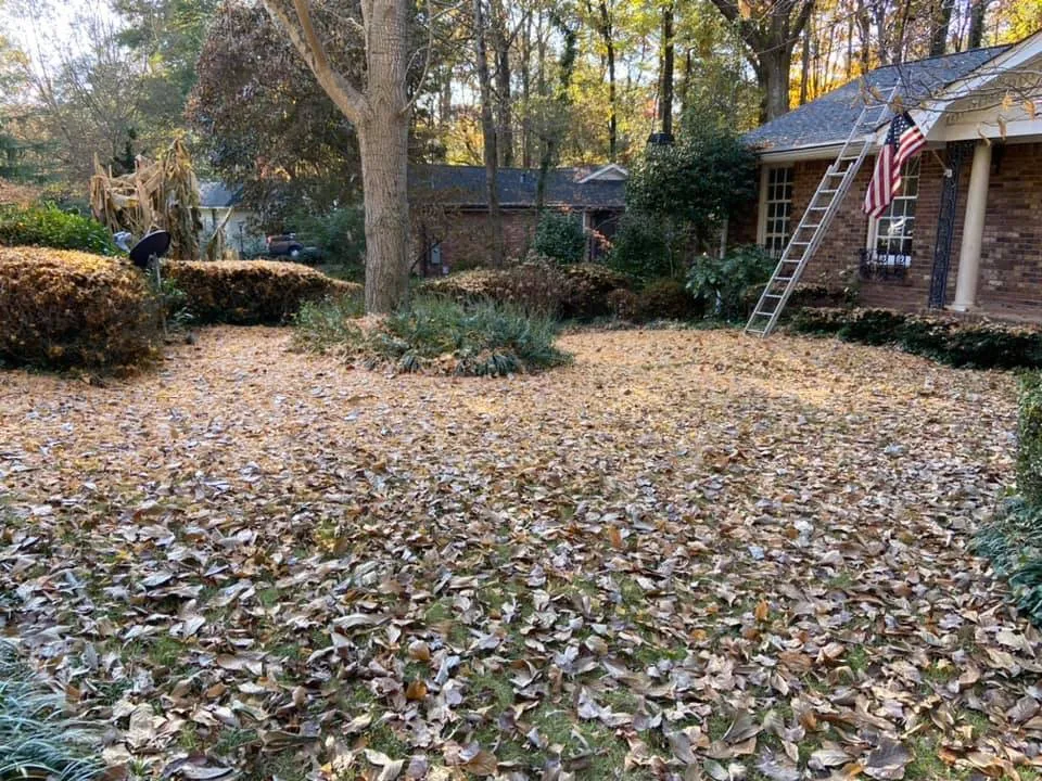 Local landscaping services in Cedartown, GA - Senor Clean