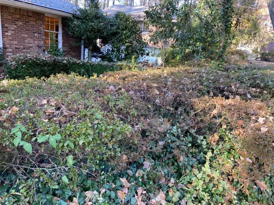 Professional outdoor landscaping experts serving Cedartown, GA - Senor Clean