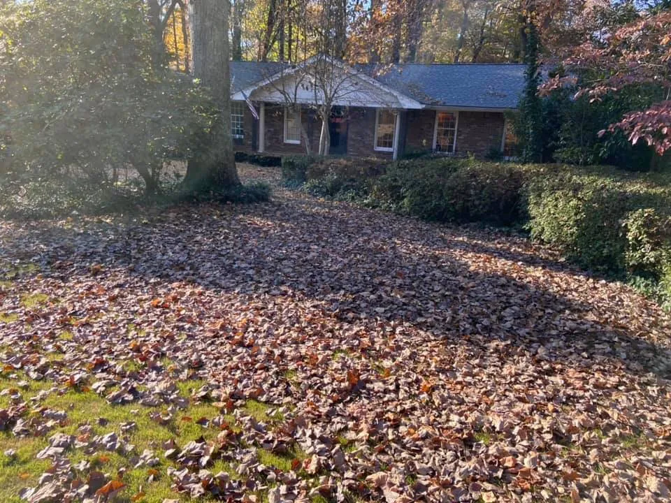 Reliable lawn care service for outdoor upgrades across Cedartown, GA - Senor Clean