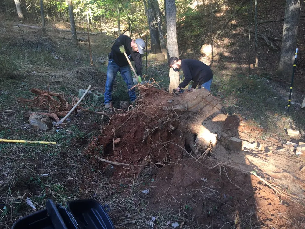 Top-rated landscape design in Cedartown, GA by Senor Clean