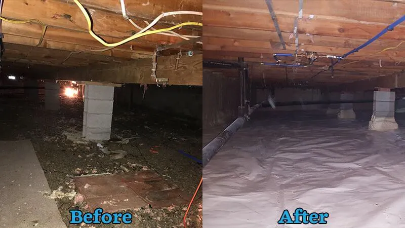 Professional lawn care service experts serving Cedartown, GA - Senor Clean