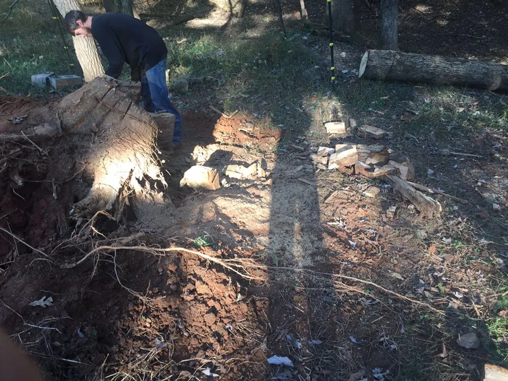 Top-rated yard maintenance for residential properties across Cedartown, GA - Senor Clean