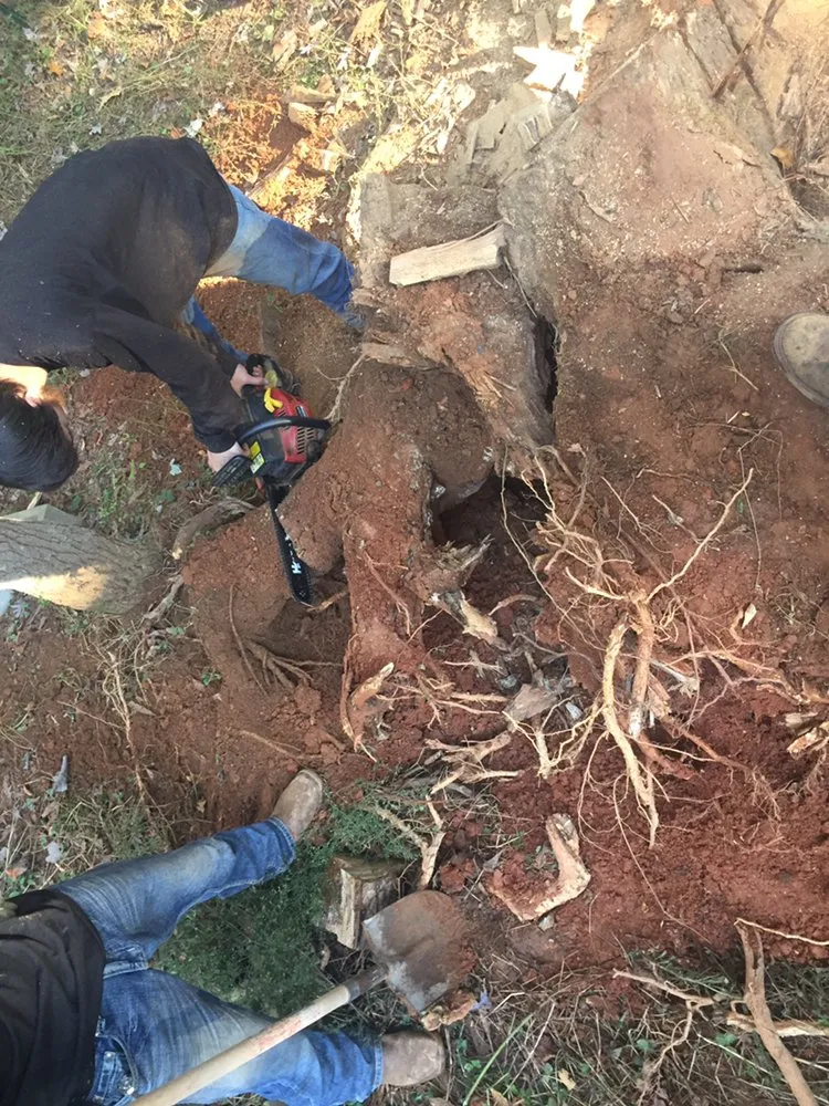 Top-rated outdoor landscaping experts serving Cedartown, GA - Senor Clean