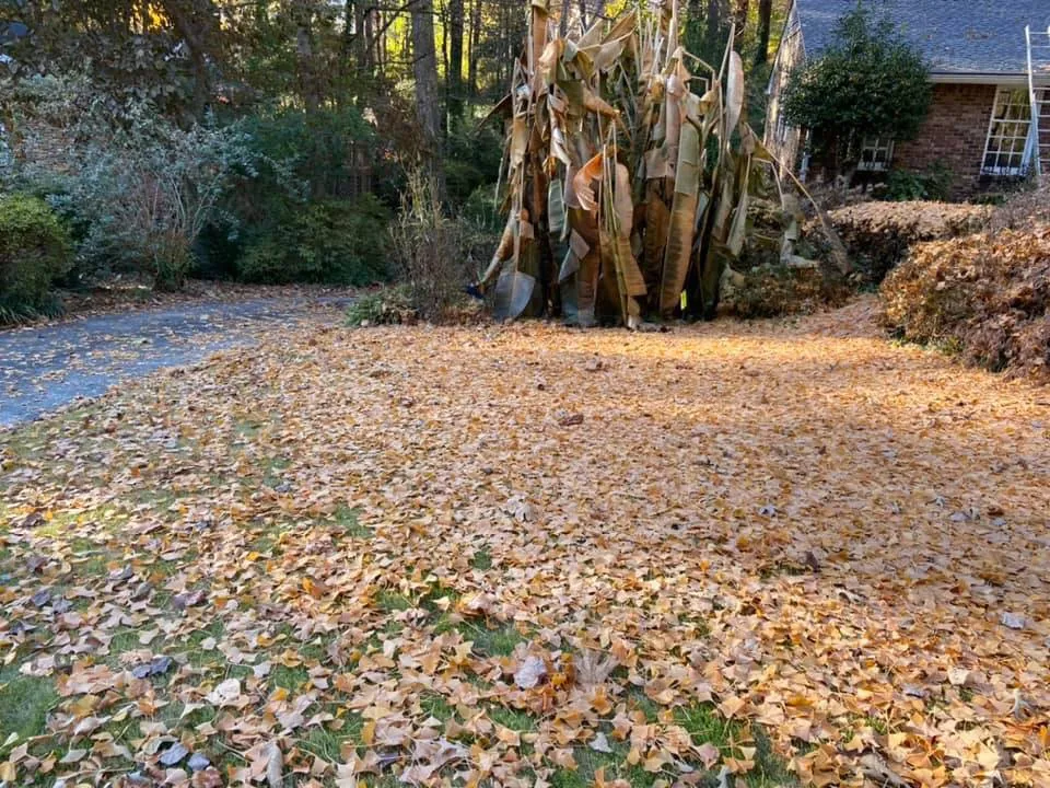 Reliable landscaping services for residential properties across Cedartown, GA - Senor Clean